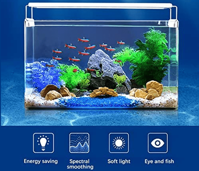 Aquarium Lights