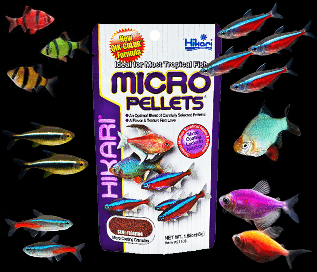 Hikari Micro Pellets in Pakistan