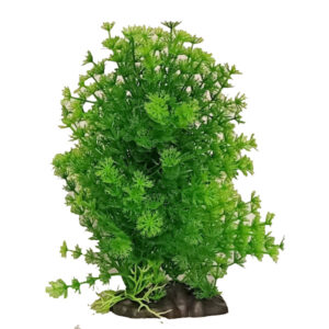 Plant - Green Medium