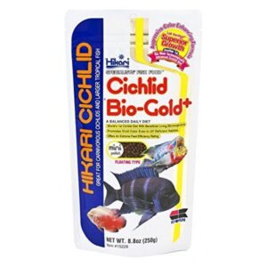 Hikari Cichlid Bio Gold Plus - 250G