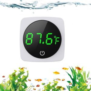 Digital Thermometer