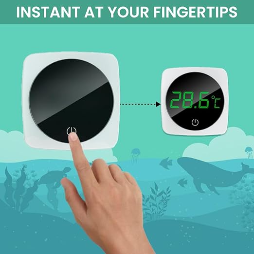 Digital Thermometer
