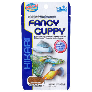 Hikari Fancy Guppy - 22G