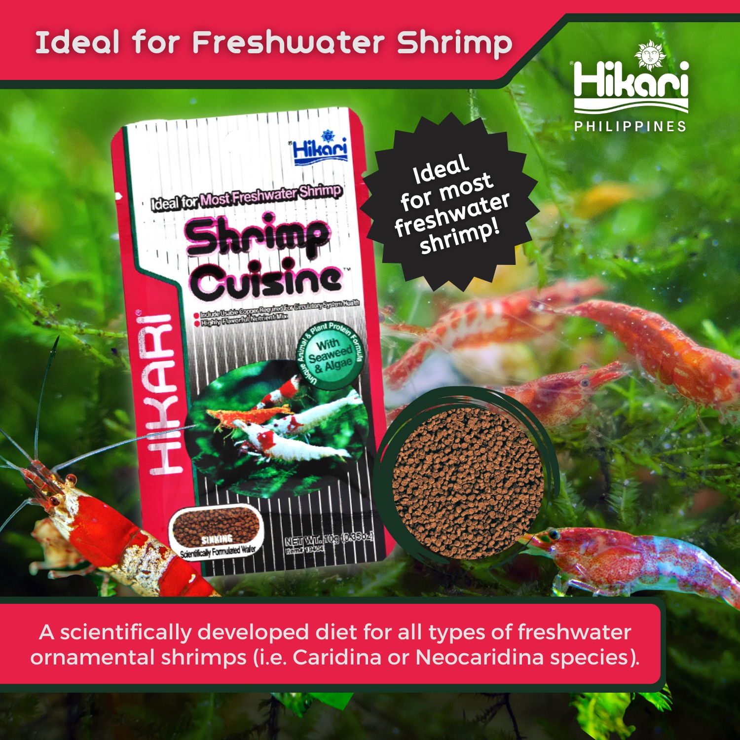 Ideal for fresh water shrimps