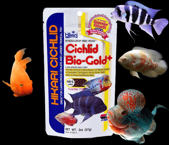 Hikari Cichlid Bio Gold