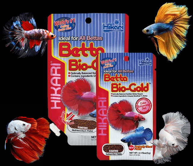 Hikari Betta Bio Gold
