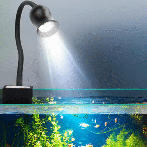 NMJ-HHX Focus Light