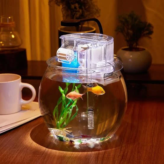 Fish Bowl Filter in Pakistan