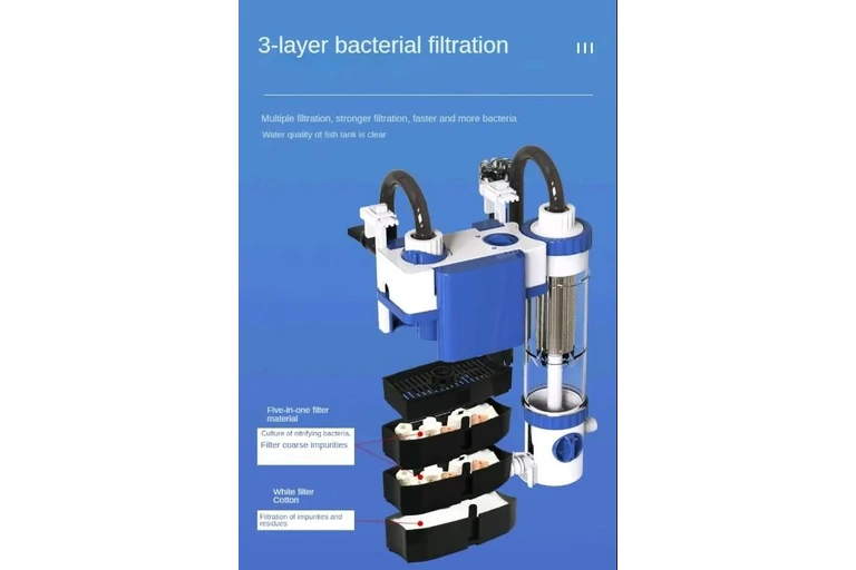 AquariaMart Delivering best aquarium products all over Pakistan