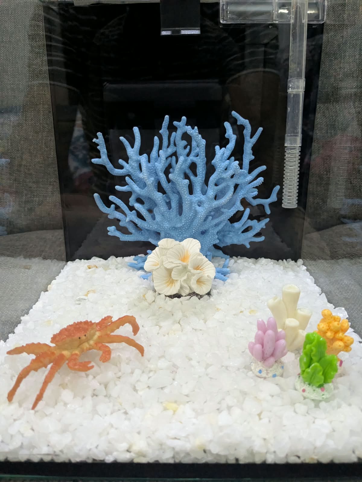 ALL-IN-ONE 8" Cube Aquarium