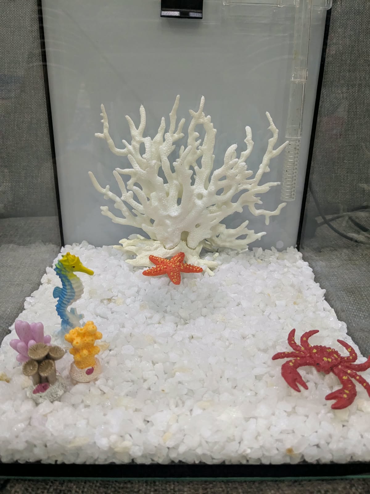 ALL-IN-ONE 8" Cube Aquarium