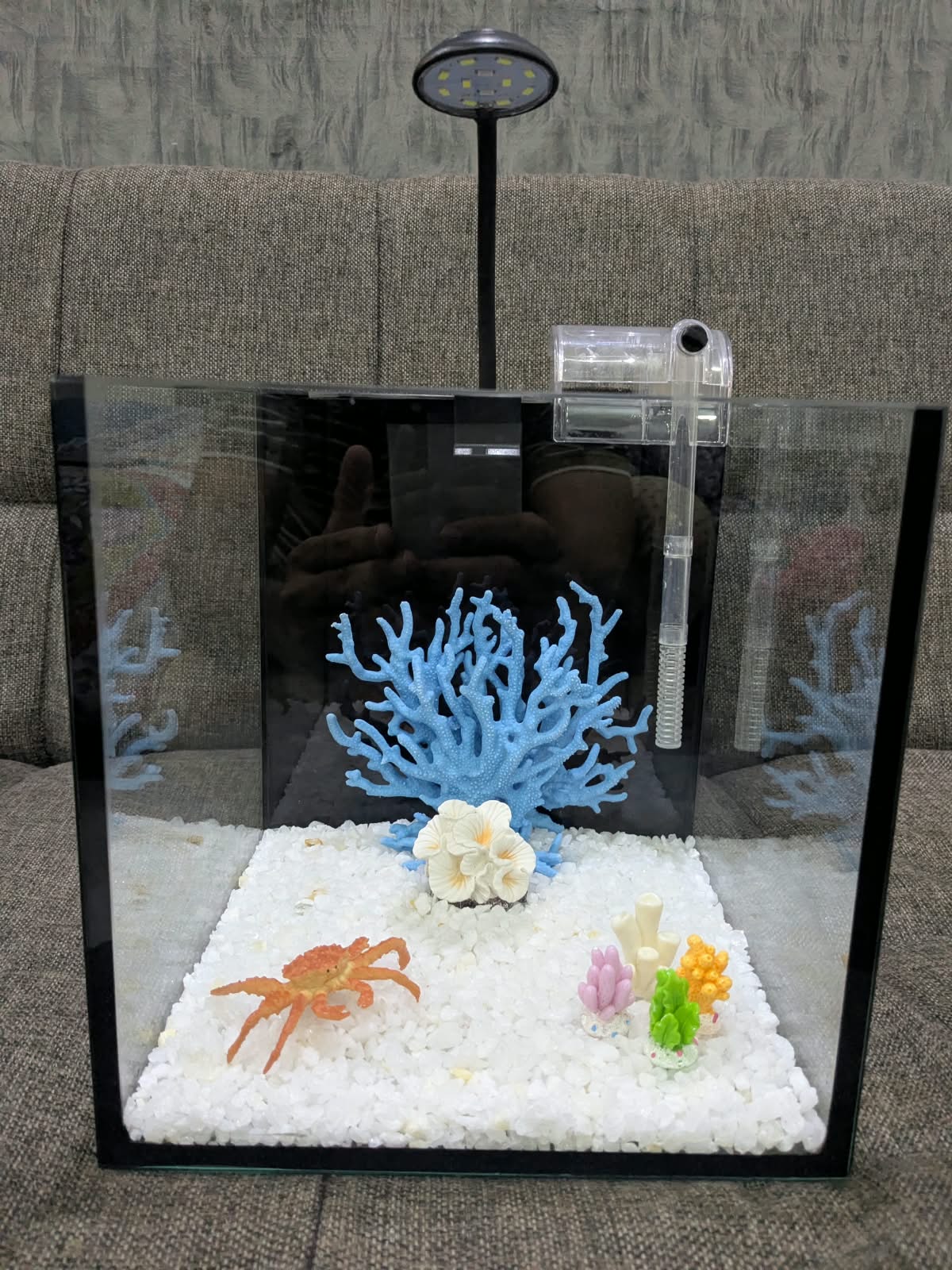 ALL-IN-ONE 8" Cube Aquarium