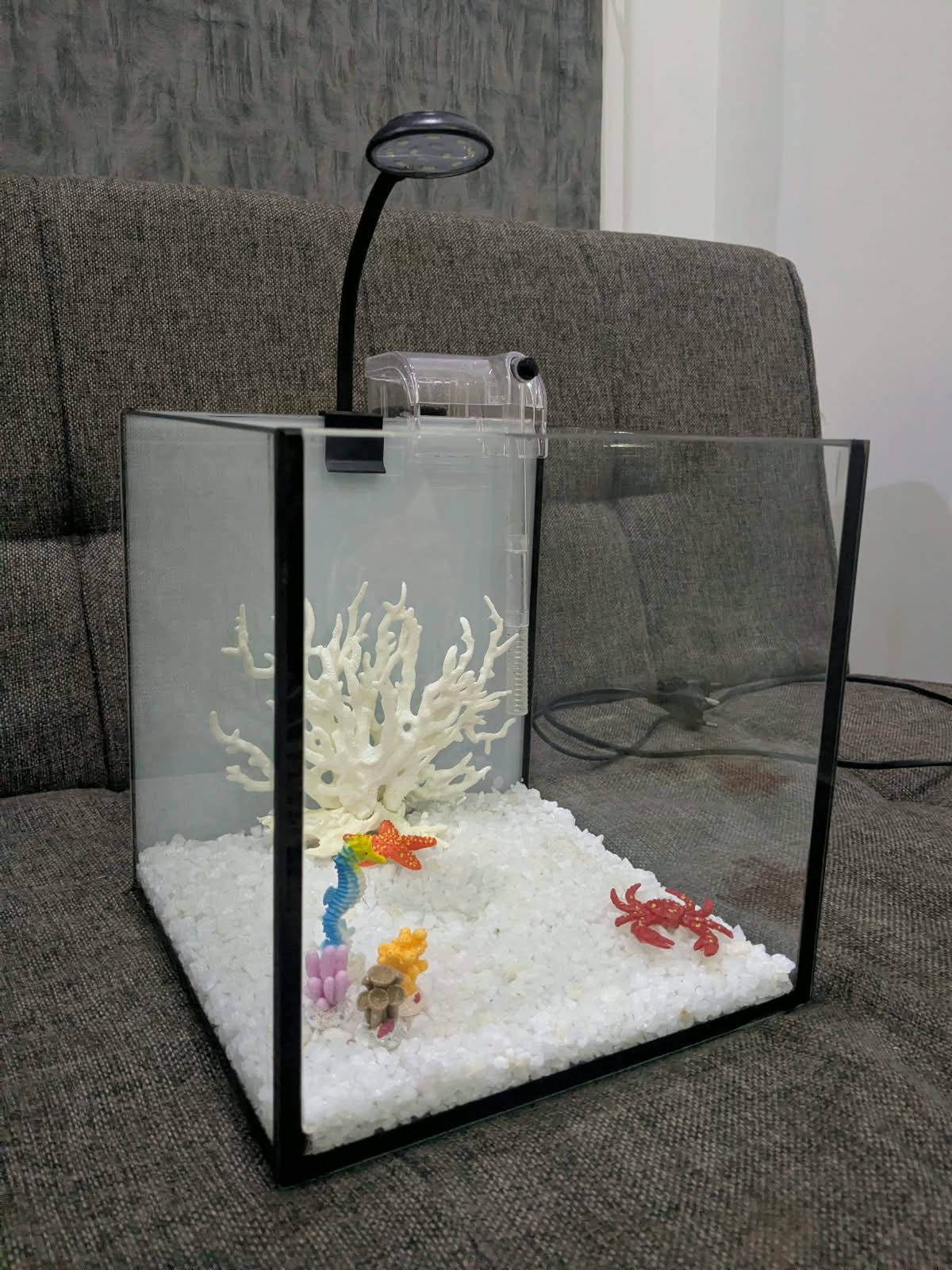 ALL-IN-ONE 8" Cube Aquarium