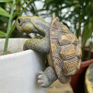 Hanging Turtle