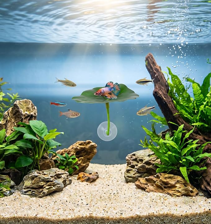 Betta Leaf Hammock