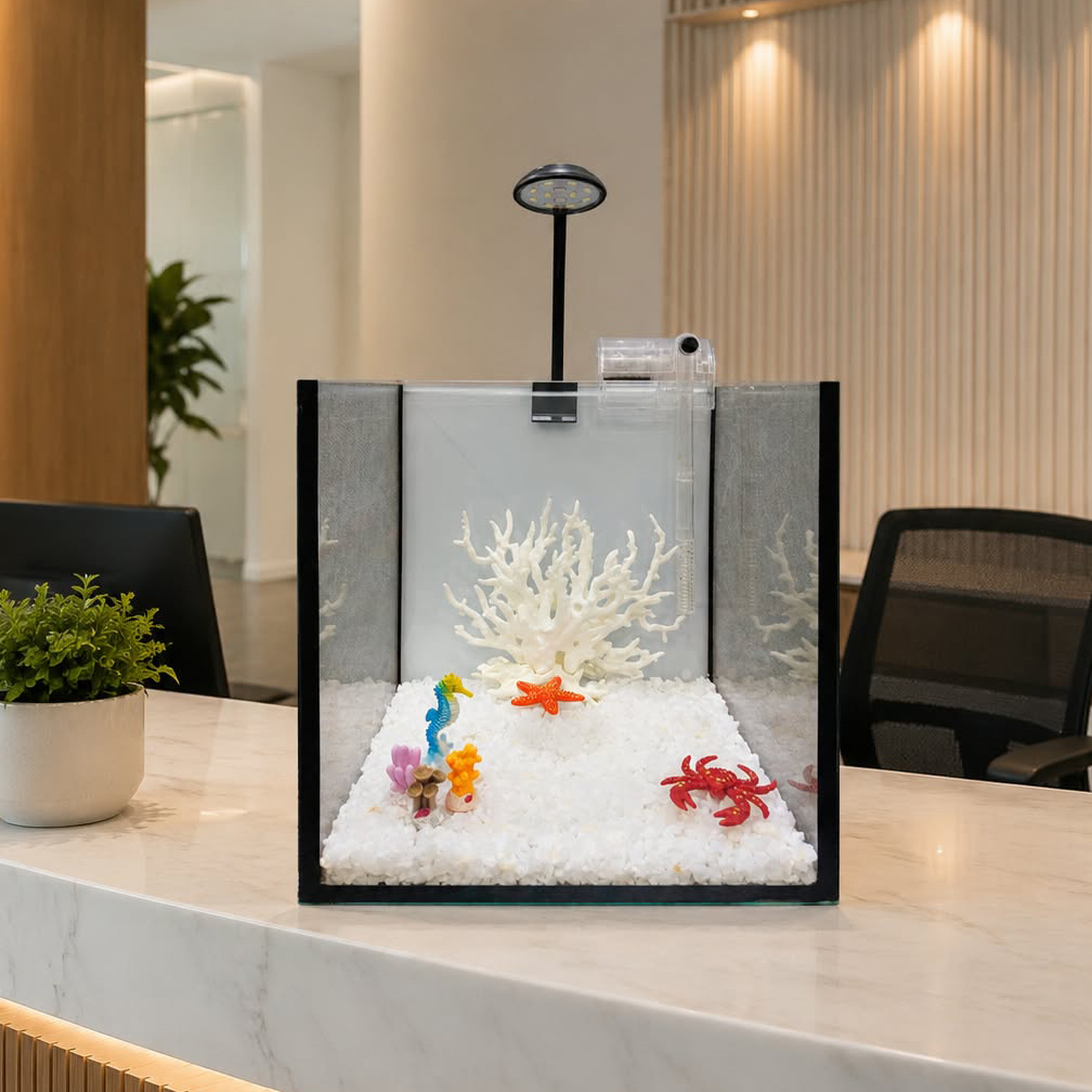 Complete Aquarium Start Kit for Kids