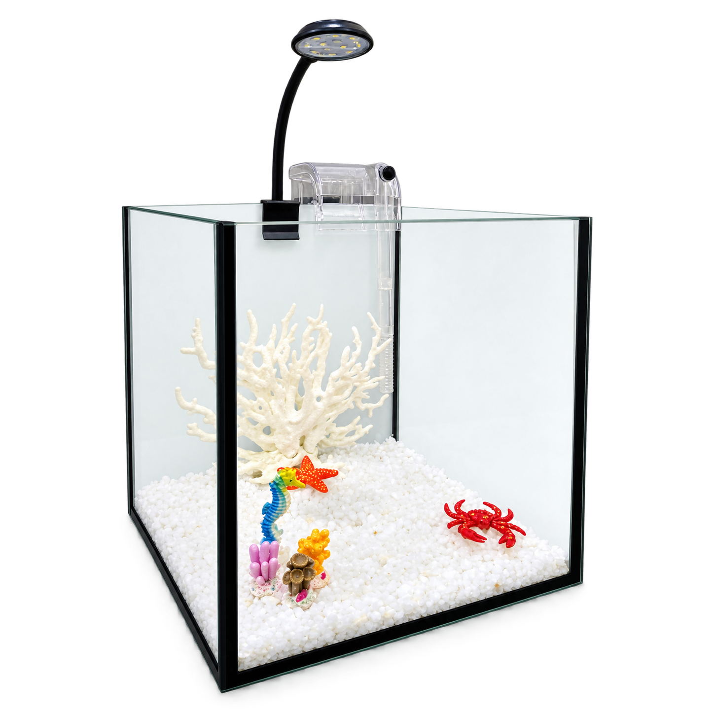 ALL-IN-ONE 8" Cube Aquarium
