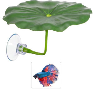 Betta Leaf Hammock
