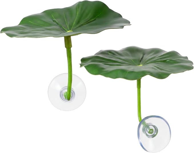 betta leaf hammock