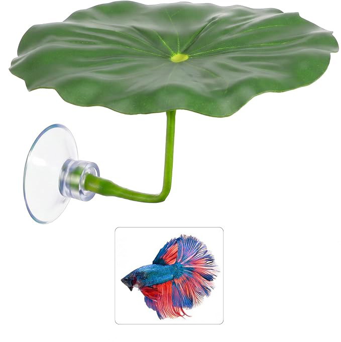 betta leaf hammock