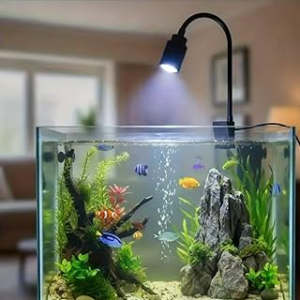 Mini Focus Light
