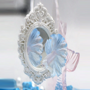 Betta Exercise Mirror